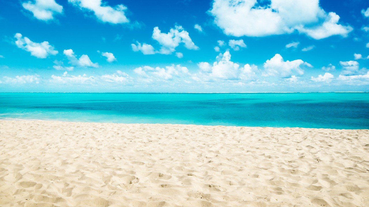 Equipo de Viajes en Oferta en oficina